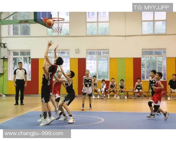 2016年篮球盛事回顾：精彩赛事与球员表现的全景分析与展望